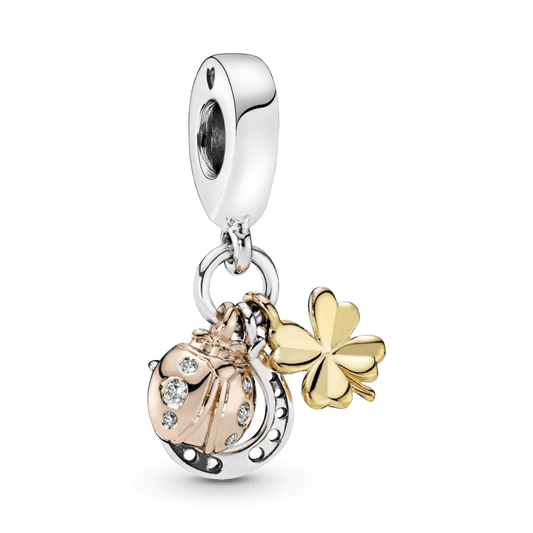 Pasaga, dobilėlis ir boružėlė - Pandora LT