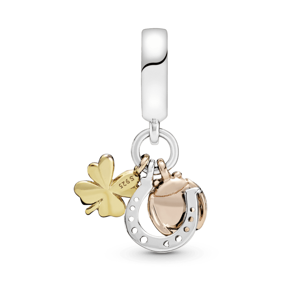 Pasaga, dobilėlis ir boružėlė - Pandora LT