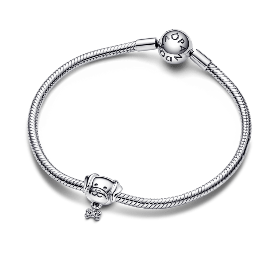 Pet Dog & Bone Charm pakabukas - Pandora Lietuva