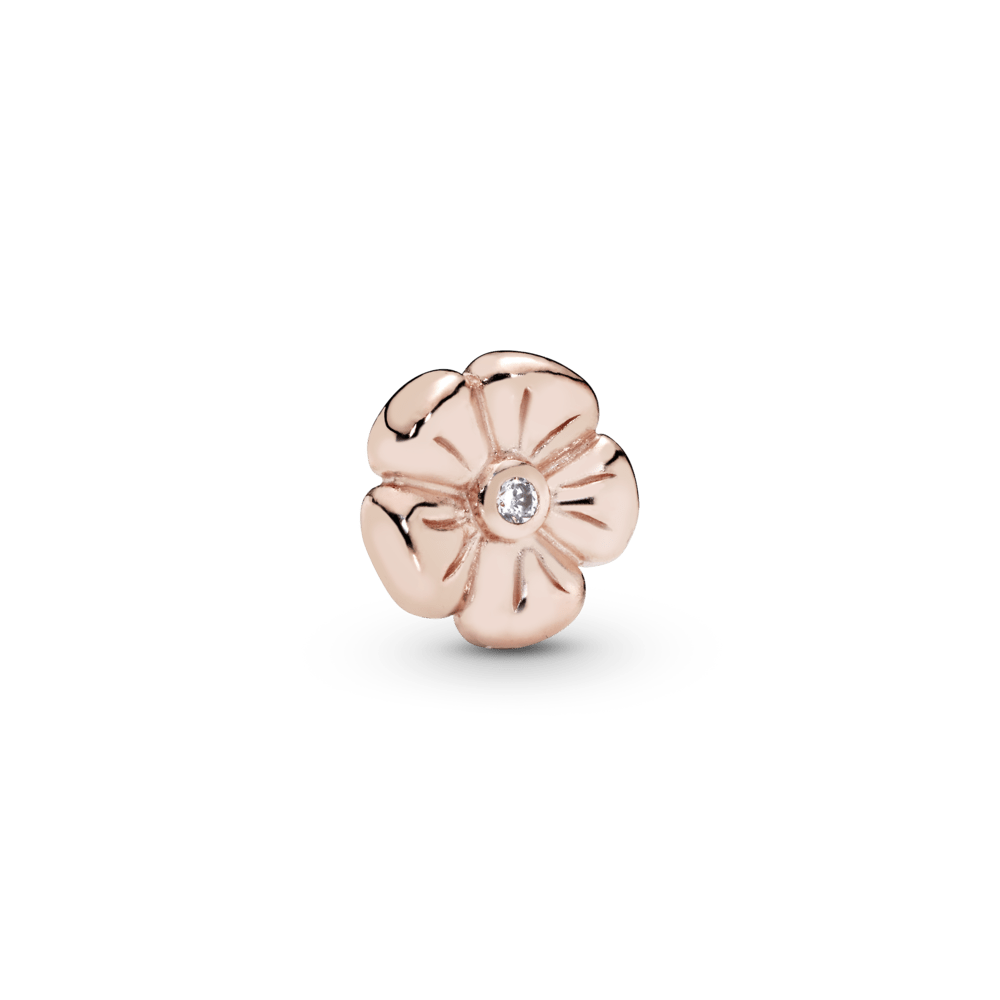 Rausva miniatiūrinė gėlytė - Pandora Lietuva