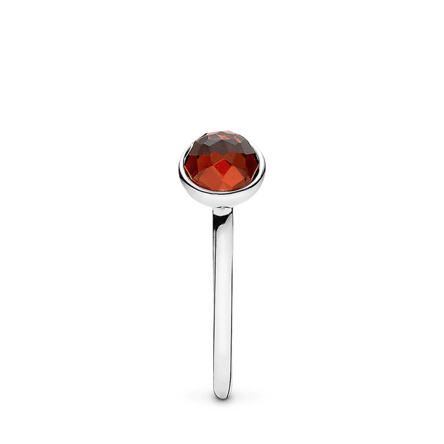 Sausio Lašelis - Pandora LT