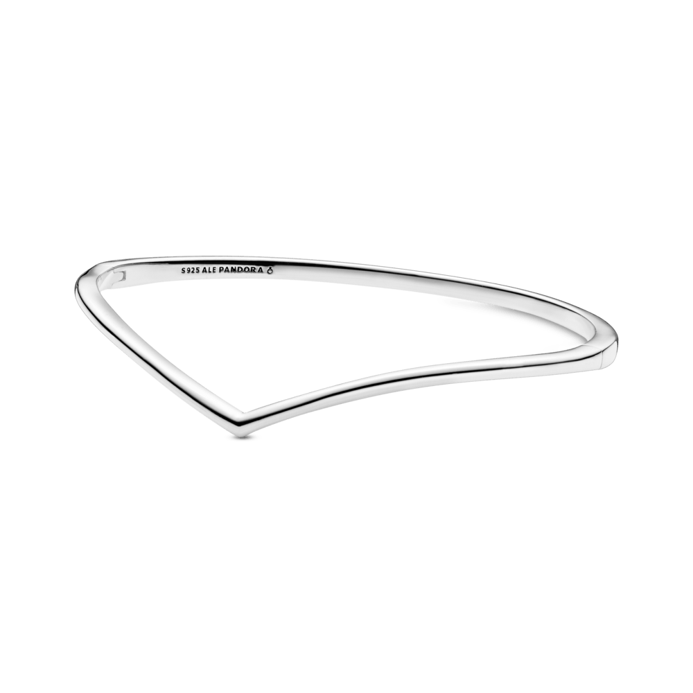 Standžioji apyrankė „Spindintis noras“ - Pandora LT