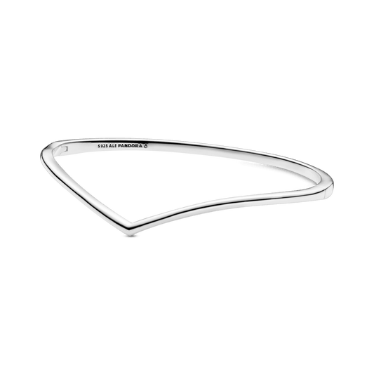 Standžioji apyrankė „Spindintis noras“ - Pandora LT