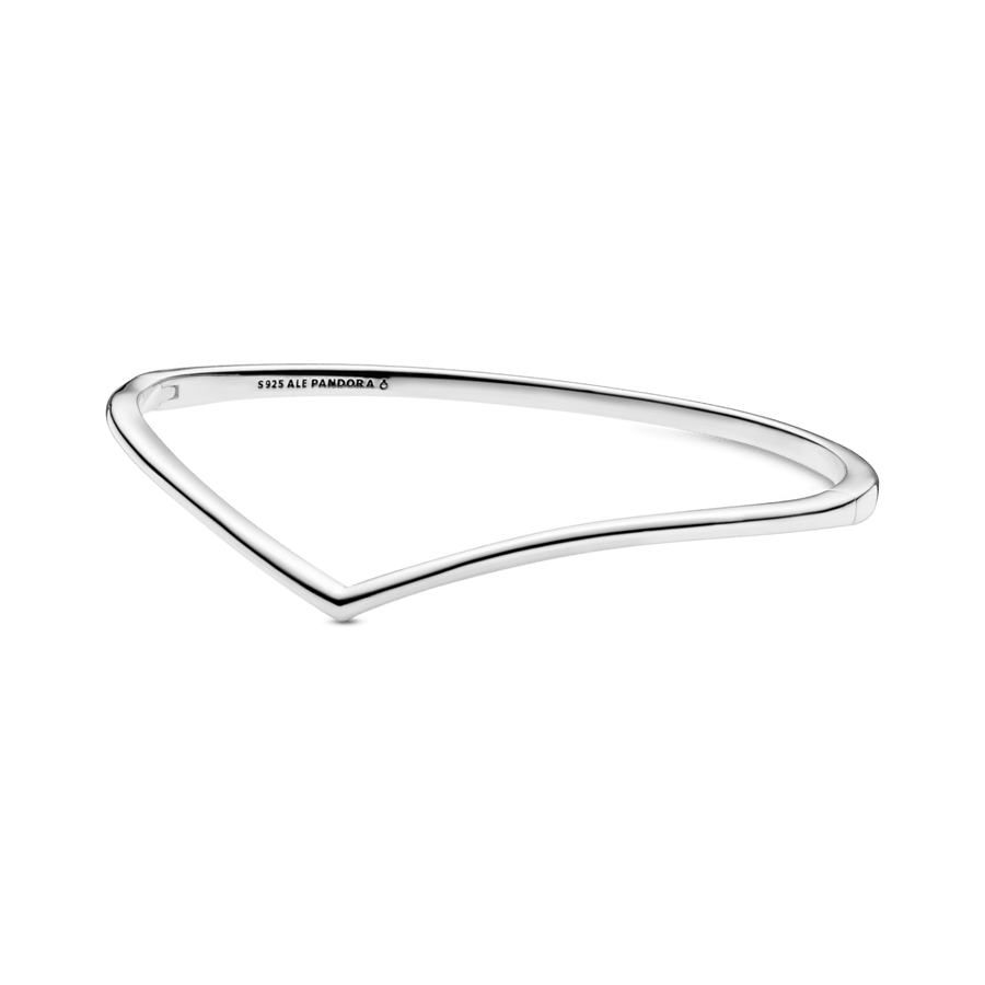 Standžioji apyrankė „Spindintis noras“ - Pandora LT