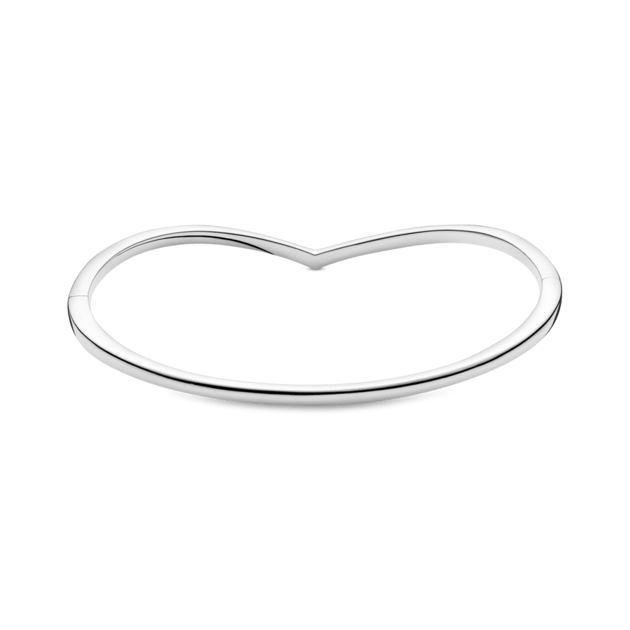 Standžioji apyrankė „Spindintis noras“ - Pandora LT