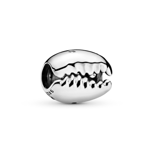 Žėrinti kavos pupelės formos kriauklė - Pandora Lietuva